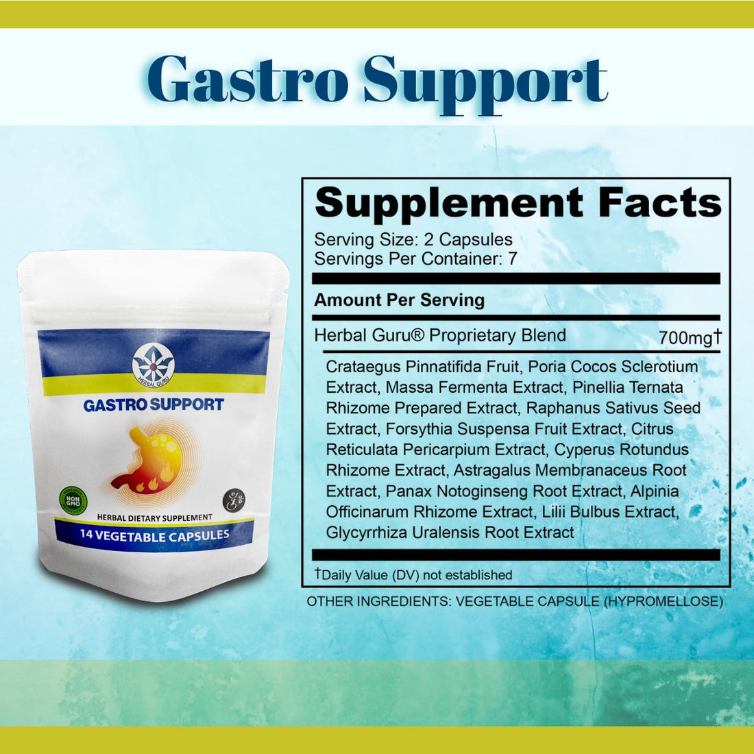 GASTRO SUPPORT (Pouch)